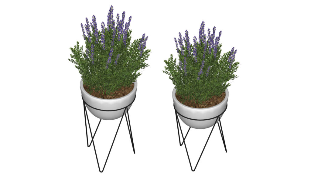 12-decor